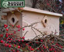 Sparrow / Starling Nest Box - SPCN