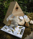 Triangular Bird Box - TGH (discontinued)