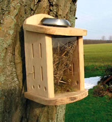 Solar Insect Habitat