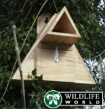 Little Owl Box - LOB