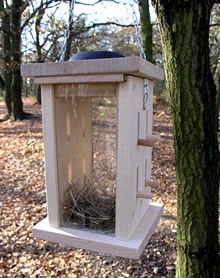 Hanging Solar Insect Habitat
