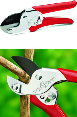 Wolf General Purpose Anvil Secateur
