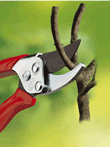 Wolf General Purpose Bypass Secateur
