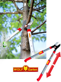 Wolf Telescopic Loppers