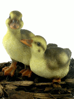 Duckling Pair - Resin Garden Ornament