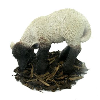 Eating Black and White Lamb - Resin Garden Ornament - Spin Image