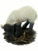 Eating Black and White Lamb - Resin Garden Ornament