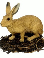 Brown Hare - Resin Garden Ornament