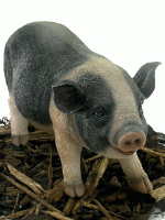 Small Black and Pink Pot Bellied Pig - Resin Garden Ornament