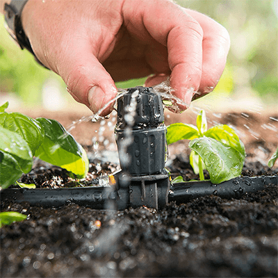 Image for: Easy Drip Watering