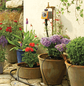 hose pipe ban