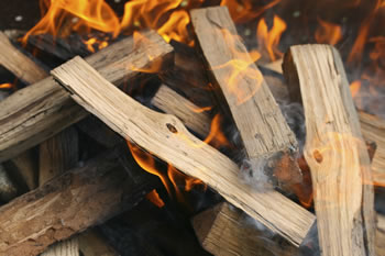 Smoking Wood Chips