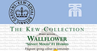 Kew Collection Flower Seeds