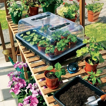 Extra image of 52cm Stewart Premium Propagator with Variable Temperature Control