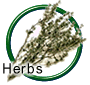  Herb Seeds