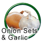 Onion Sets