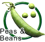 Peas & Bean Seeds