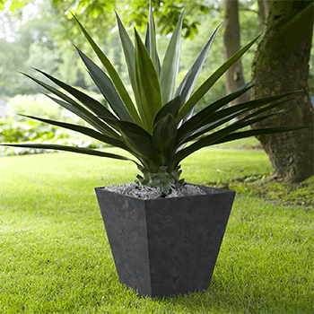 Image of Artstone Pot Ella Black Large
