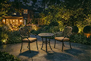 Have fun playing around in our AI gardens. But remember, just like you and me, AI can make mistakes. Always use original images for a true representation.