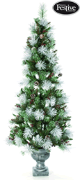 Small Image of Frosted Bristle Pine Potted 6ft Christmas Tree