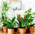 Image of Claber Oasis Indoor Automatic Watering System
