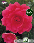 Pink Double Begonia Bulb