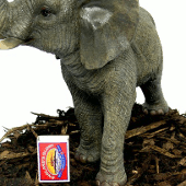 Extra image of Trumpeting Elephant - Resin Garden Ornament