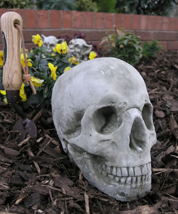 Image of Skull Stone Garden Ornament Statue - GG11