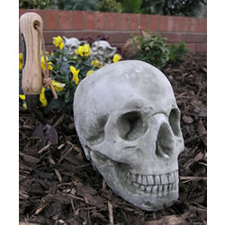 Small Image of Skull Stone Garden Ornament Statue - GG11