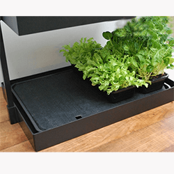 Small Image of Garland Self Watering Tray Insert for Grow Light