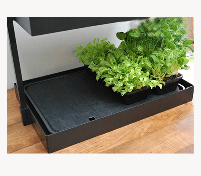 Image of Garland Self Watering Tray Insert for Grow Light