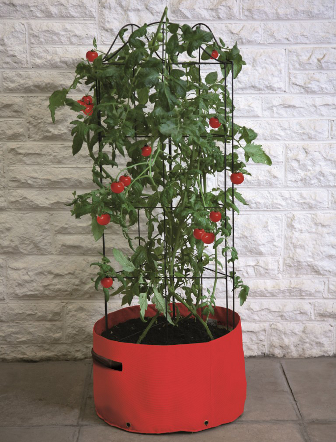 Haxnicks Tomato (Climbing) Patio Planter - Â£12.99 