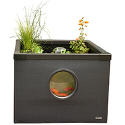 Extra image of Hozelock Patio Pond Aquarium