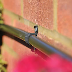 Small Image of Hozelock Micro Irrigation Wall Clip (13mm) - 2771