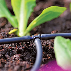 Image of Hozelock Micro Irrigation T-Connector (4mm) - 2777