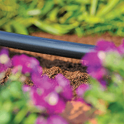 Extra image of Hozelock Micro Irrigation 25m Supply Tube (13mm) - 2764