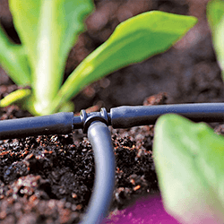 Extra image of Hozelock Micro Irrigation T-Connector (4mm) - 2777