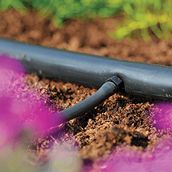 Extra image of Hozelock Micro Irrigation Tube Straight Adaptor / Connector (4mm) - 2778