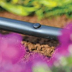 Extra image of Hozelock Micro Irrigation Blanking Plug - 2779