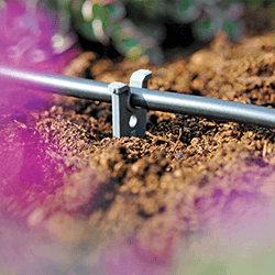 Extra image of Hozelock Micro Irrigation Micro Tube Stake (4mm) - 2781