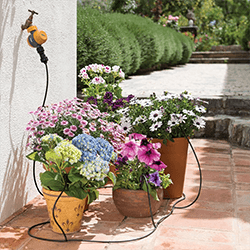 Extra image of Hozelock 15 Pot Watering Kit with Mechanical Timer