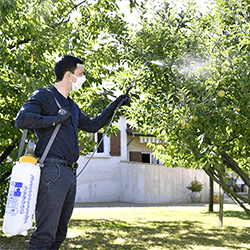 Extra image of Hozelock Standard 10L Pressure Sprayer