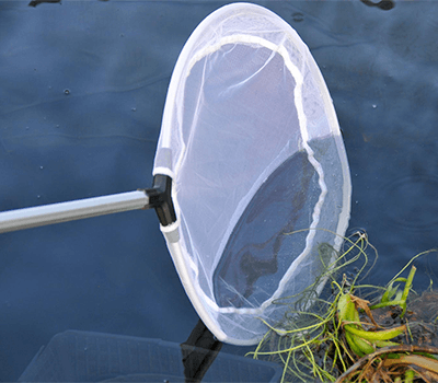 Image of Hozelock Telescopic Pond Skimmer Net