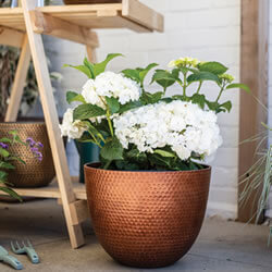 Extra image of Kelkay Plant Avenue Urban Collection Large Elements Pot in Copper