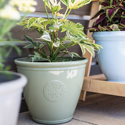 Small Image of Kelkay Plant Avenue Trad. Collection Small Eden Emblem Pot in Green