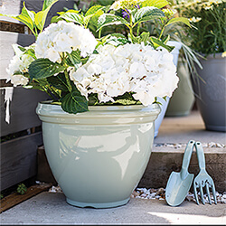 Small Image of Kelkay Plant Avenue Trad. Collection Classic Pot in Green