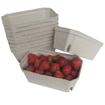 Image of Nutley's 500g Biodegradable Fruit Punnets - Quantity: 250