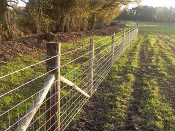 Image of 25m Roll of C8/80/15 Stock Fencing