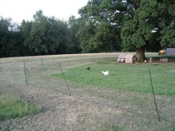 Image of 25m Hotline Electric Fencing Standard Poultry Net