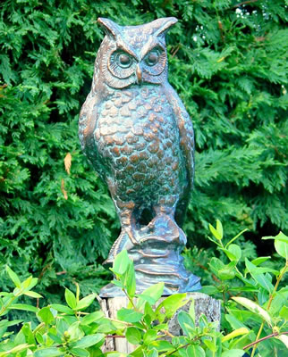 Image of Cast Iron Long Eared Owl Sculpture - Antique Verde Bronze Finish